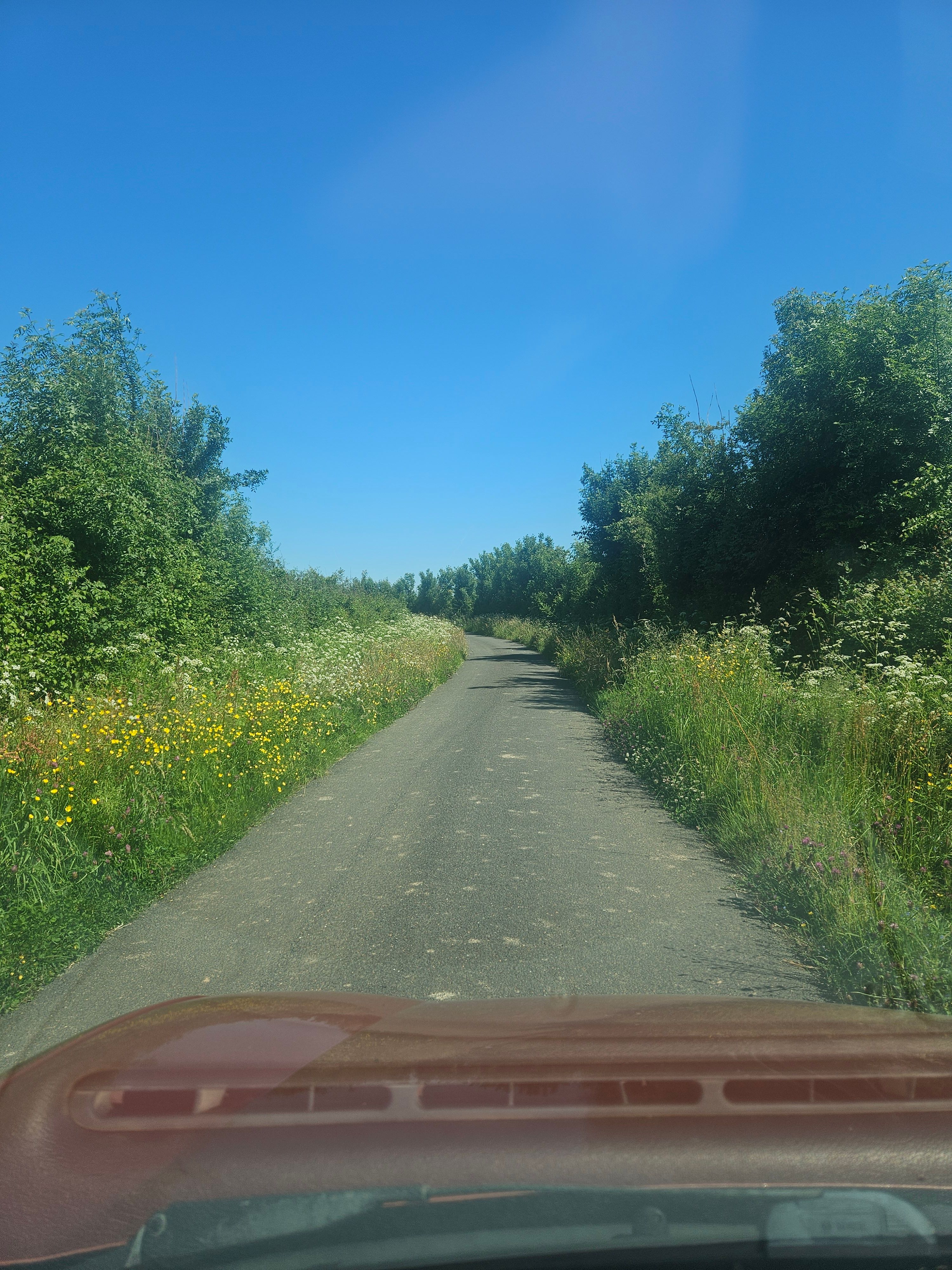 Route adjacente empruntée par le bus scolaire